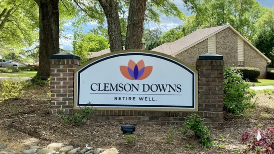 Clemson Downs school