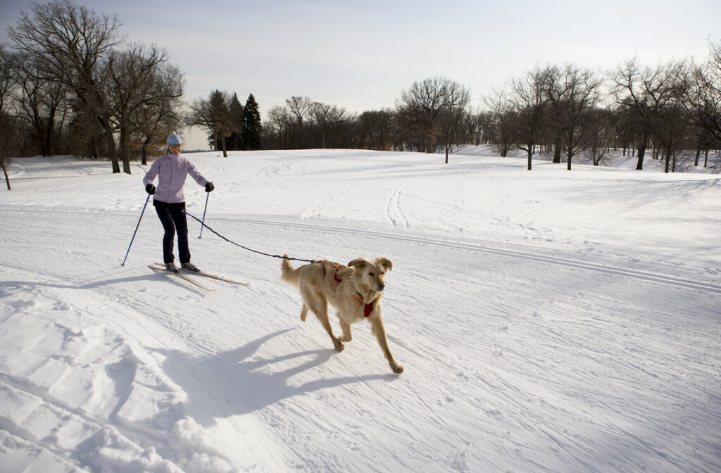 Dog running in the snow with a person.