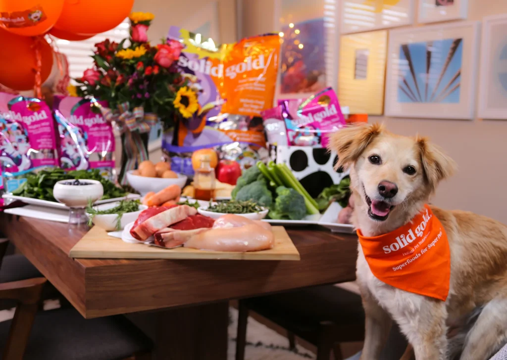 Dog at a table with lots of treats.